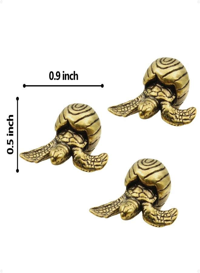 Wallertree Brass Turtle Hinge Heads Decorative Topper Set of 3 - Magnetic Hinge Head Home Decoration - Door Hinge Decorative Topper - Image 5